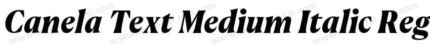 Canela Text Medium Italic RegularVe字体转换